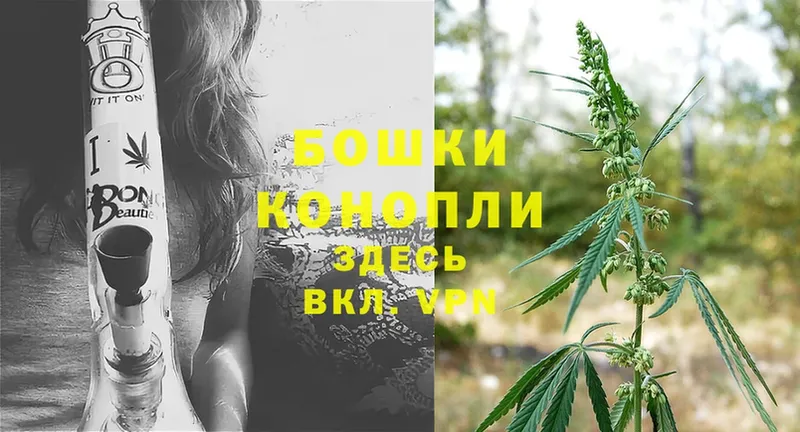 Каннабис LSD WEED  маркетплейс клад  Кущёвская 